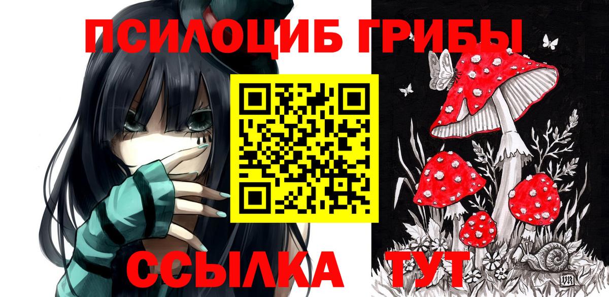 Галлюциногенные грибы GOLDEN TEACHER Южно-Сахалинск