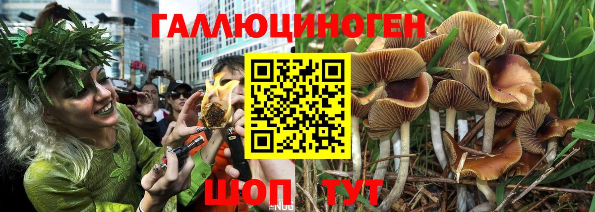 Южно-Сахалинск  Псилоцибиновые грибы Magic Shrooms  Вход с VPN  Галлюциногенные грибы Psilocybe 